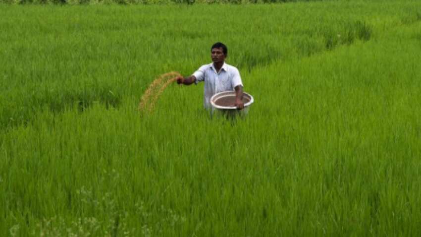PM Kisan CSC