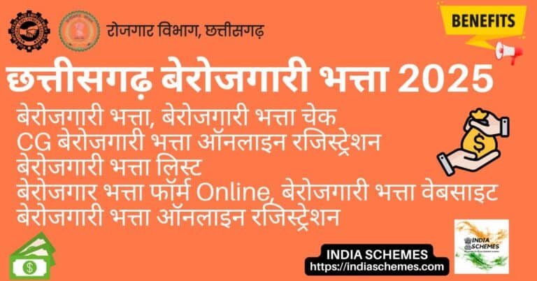 Chhattisgarh Berojgari Bhatta Apply