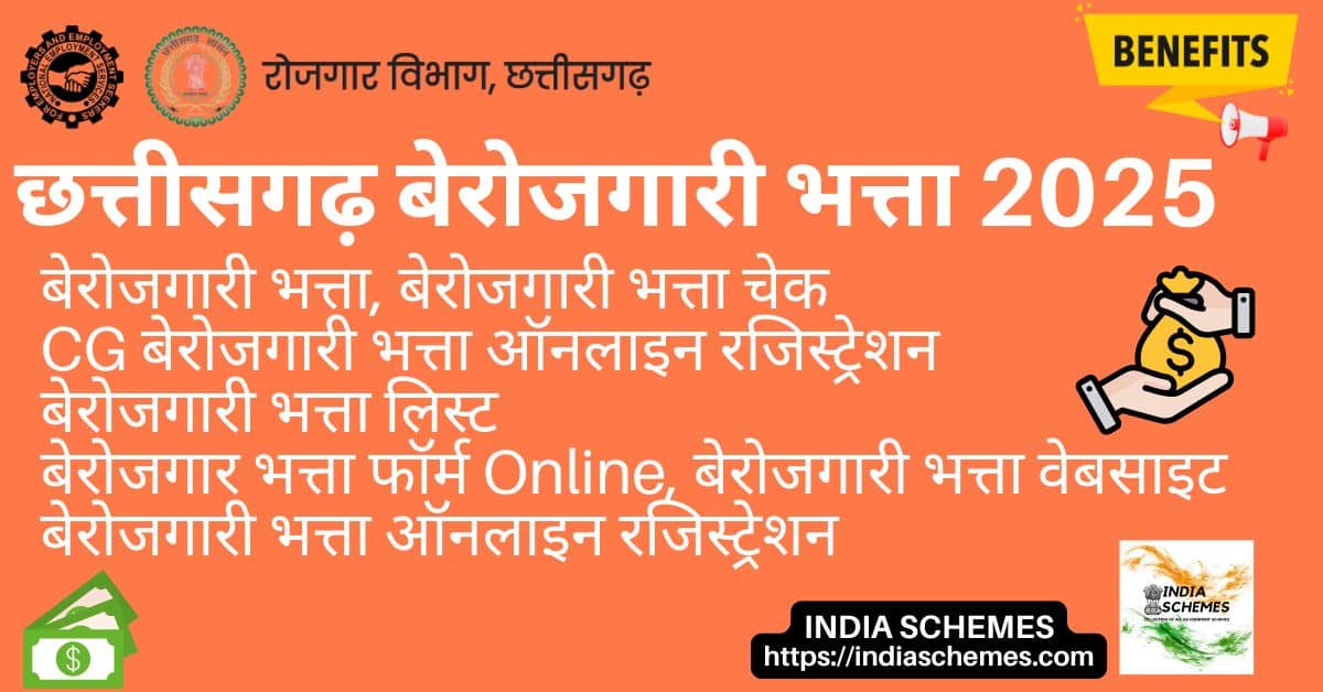Chhattisgarh Berojgari Bhatta Apply